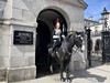 Horse Guards