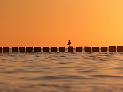 2026 | Rekreační středisko Zem Tourist: Pobyt s polopenzí