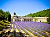 Provence_Senanque_4_Radynacestu_Pavel_Spurek.jpg
