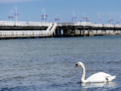2025 | Hotel Villa Sedan: Pobyt se snídaní