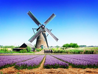 Holandsko - s květinovým korzem