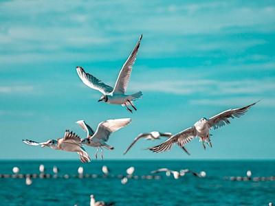 2026 | Hotel Wodnik: Náš tip 7 nocí