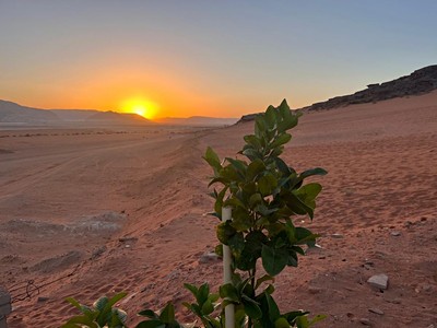 2026 | Jordánsko: Cestou Nabatejců