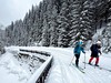 Krkonoše - přechod na skialpech