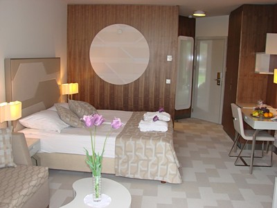 Hotel Terme: Pobyt s polopenzí a vstupem do akvaparku