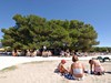 Camping Zaton Holiday Resort, Zadar, Dalmácie, Chorvatsko, Dovolená s CK Geovita