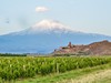 Ararat