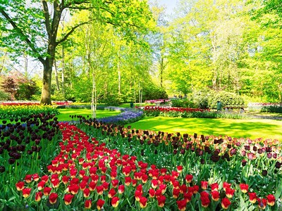 Velikonoční Amsterdam + Květinová Zahrada Keukenhof + Slavná Muzea