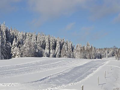 Zima 2026 | Hotel Srní: Zimní radovánky 5 nocí