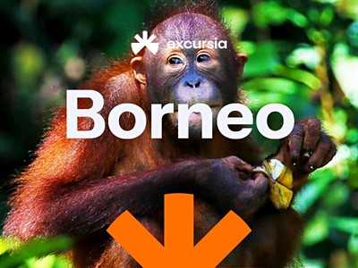 Borneo - orangutani, původní kmen Kelabit a sultanát Brunej