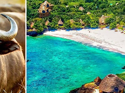 Přivítání s Afrikou