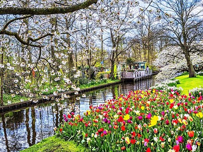 To nejlepší z Amsterdamu + Květinová Zahrada Keukenhof
