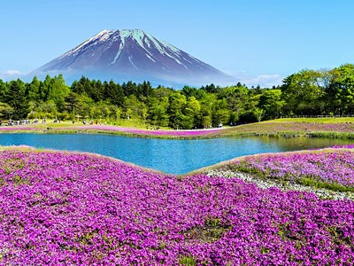 To nejlepší z Japonska + Květinový Festival u Hory Fudži