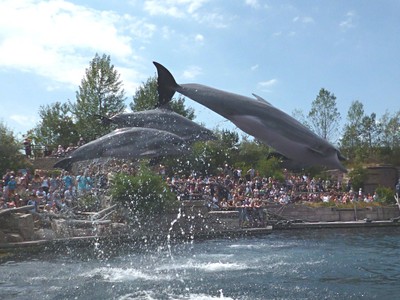 Zoo a Delfinárium v Norimberku