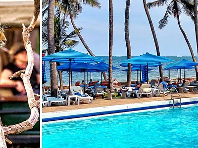 Přivítání s Afrikou