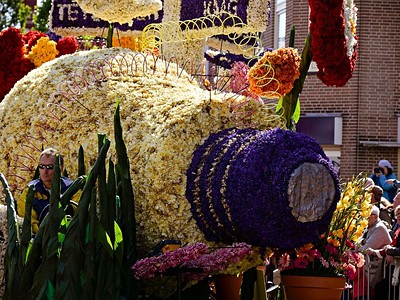 To nejlepší z Holandska + Květinové Korzo