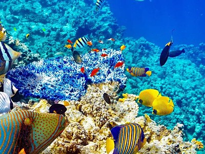Egypt - Marsa Alam Holiday Tour