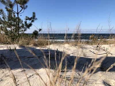 2026 | Venus Spa: Pobyt s polopenzí od min. 3 nocí