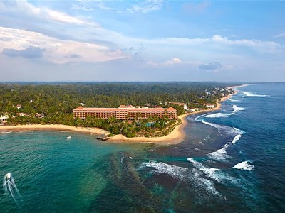 Hikka Tranz by Cinnamon