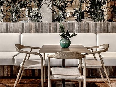 Domes Aulus Zante, Autograph Collection