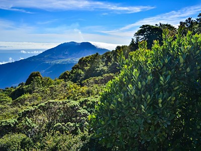 2026 | Kostarika: Ráj exotických zvířat, pralesy