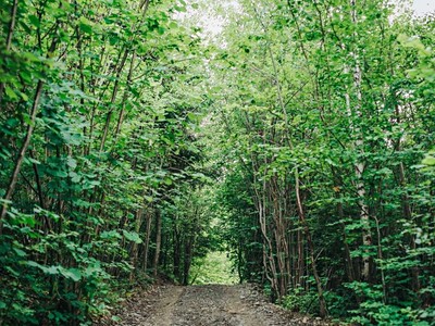 2025 | Jeżowa Woda: Pobyt bez stravy