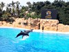 Loro Parque