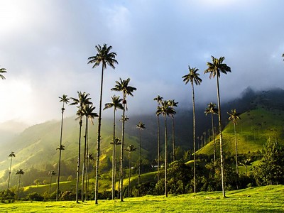 To nejlepší z Kolumbie + Údolí Cocora + Koupání na Karibském Pobřeží