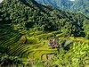 Bangaan Rice Terraces.jpg