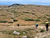 Vitoša MTB - přejezd hřebene
