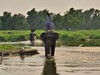 NP Chitwan
