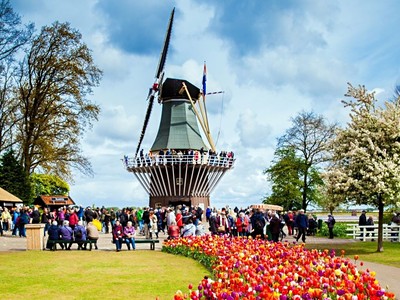 Květinové korzo: Za tulipány do Holandska