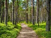 Poznávací zájezd Pobaltí s CK Excursia
