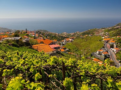 Slavnosti vína na Madeiře