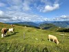 Nockberge trail