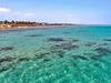 TH Marsa Alam Blue Lagoon - obrázek č. 7