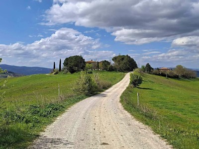 Poutní cesta Via Francigena