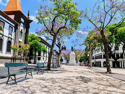 Alojamento Central II