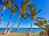 RIU Turquoise #3