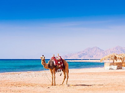 To nejlepší z Jordánska + Pobyt u Rudého a Mrtvého Moře