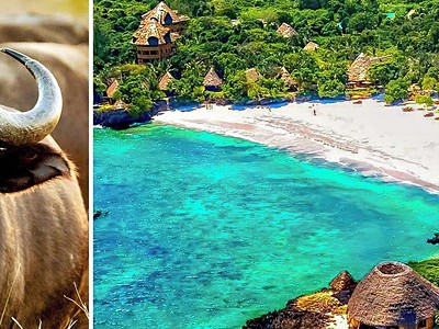 Přivítání s Afrikou