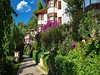 Club & Hotel Letoonia #2