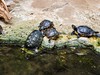 Ve vratislavské zoo - jednodenní výlety do Polska