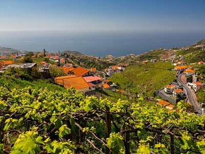 Slavnosti vína na Madeiře