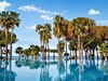 Acanthus Cennet Barut Collection  #5