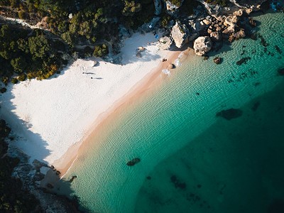 To nejlepší z Modrého pobřeží + Ochutnávka Vín + Pozorování Delfínů