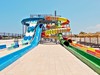 Best Oasis Tropical #2