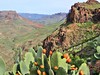 Gran Canaria