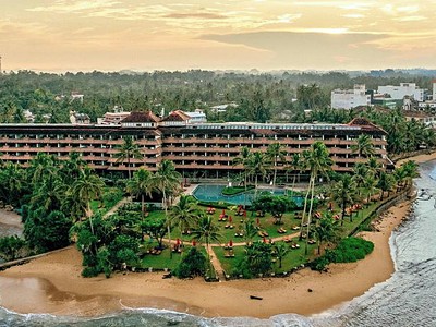 Hikka Tranz by Cinnamon