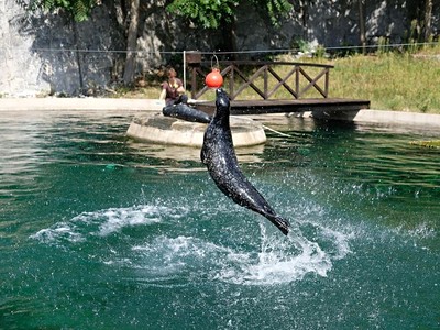 Zoo Wroclaw a Hydropolis